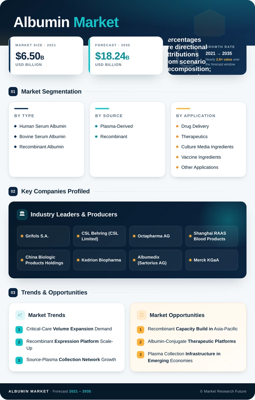 Albumin Market Research Report – Forecast till 2035 Infographic