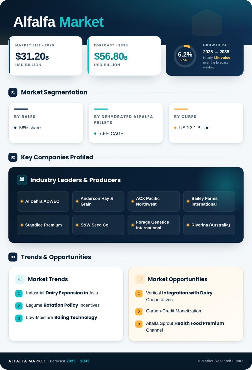 Alfalfa Market Research Report - Global Forecast till 2035 Infographic