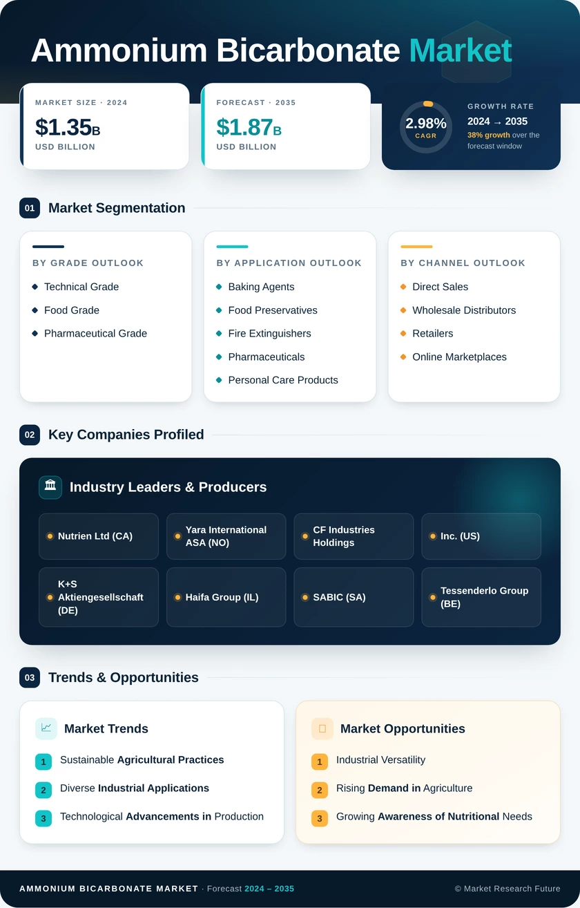 Ammonium Bicarbonate Market Research Report - Global Forecast by 2035 Infographic