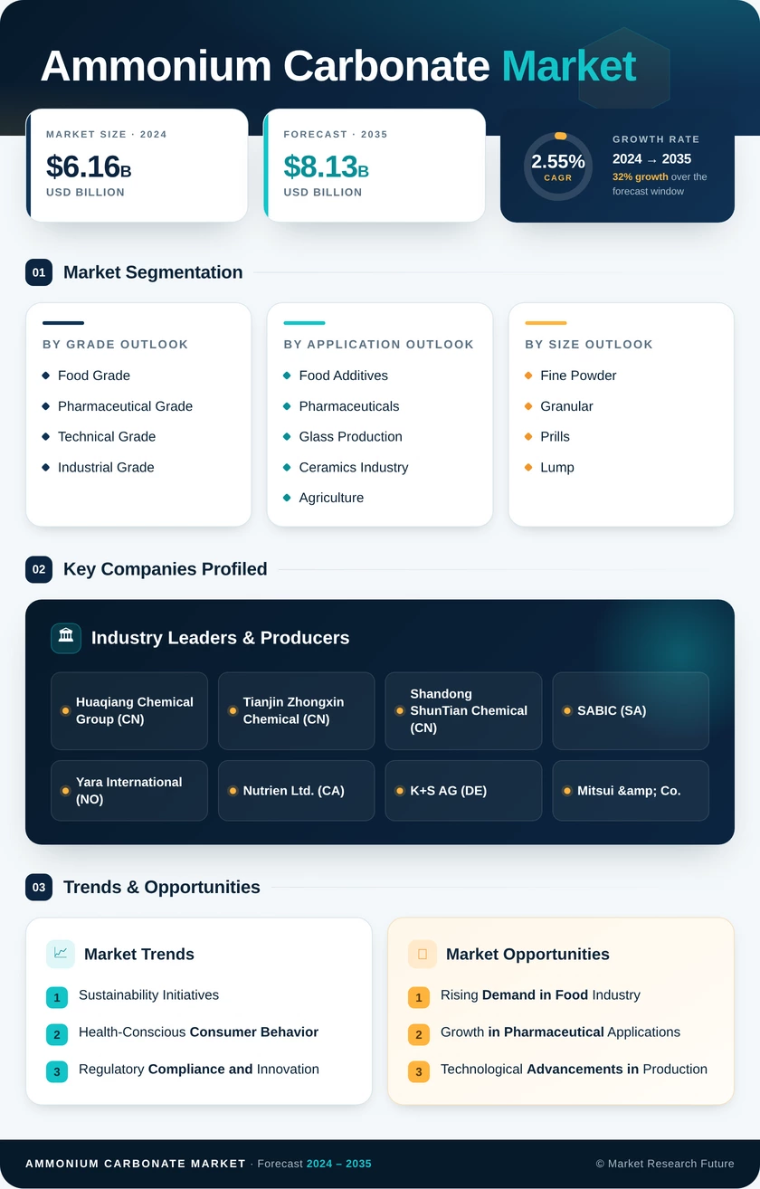 Ammonium Carbonate Market Research Report- Global Forecast till 2035 Infographic