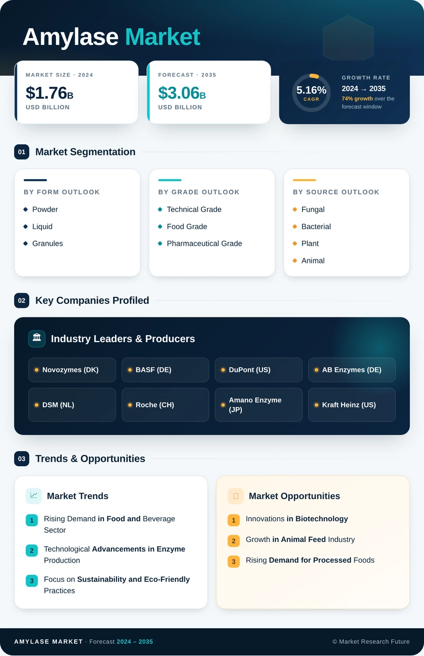 Amylase Market Research Report — Global Forecast till 2035 Infographic