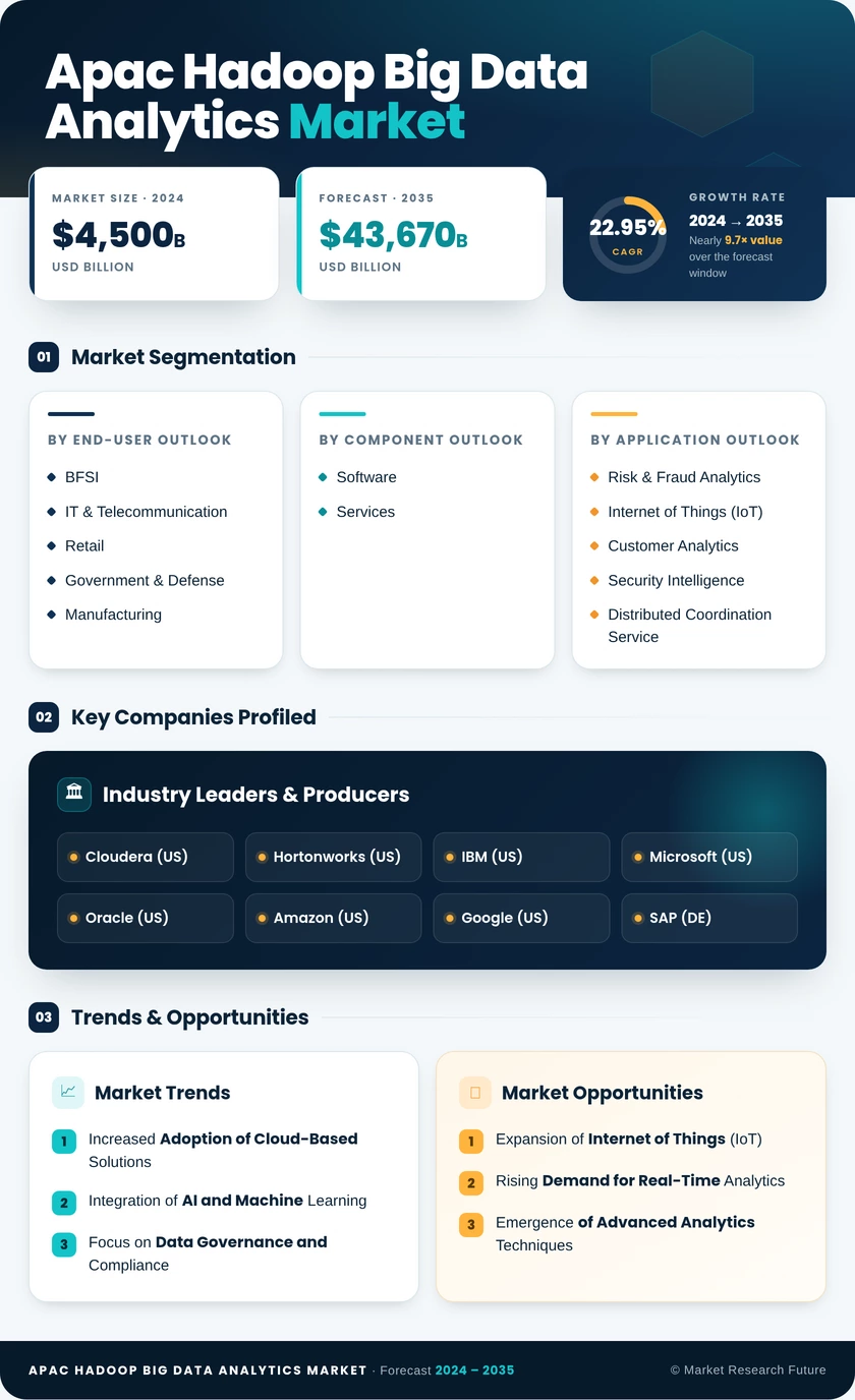 APAC Hadoop Big Data Analytics Market Research Report-Forecast to 2035 Infographic