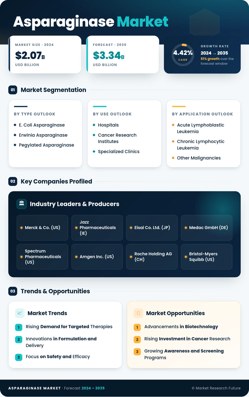 Asparaginase Market Research Report — Global Forecast till 2035 Infographic