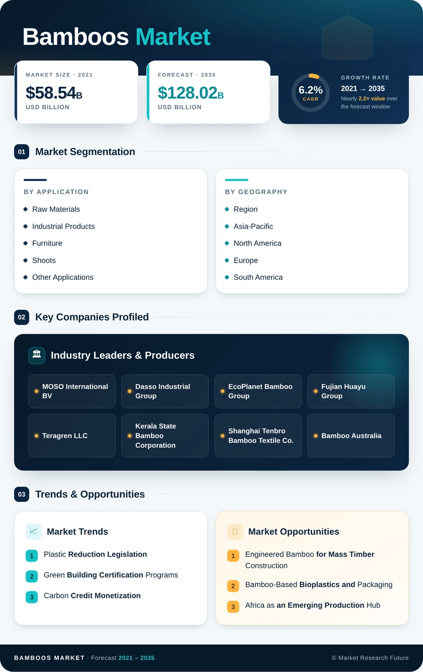 Bamboos Market Research Report - Global Forecast by 2035 Infographic