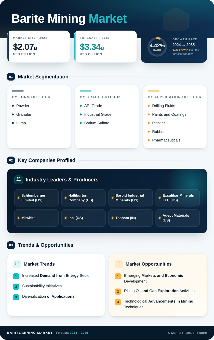 Barite Mining Market Research Report — Global Forecast till 2035 Infographic