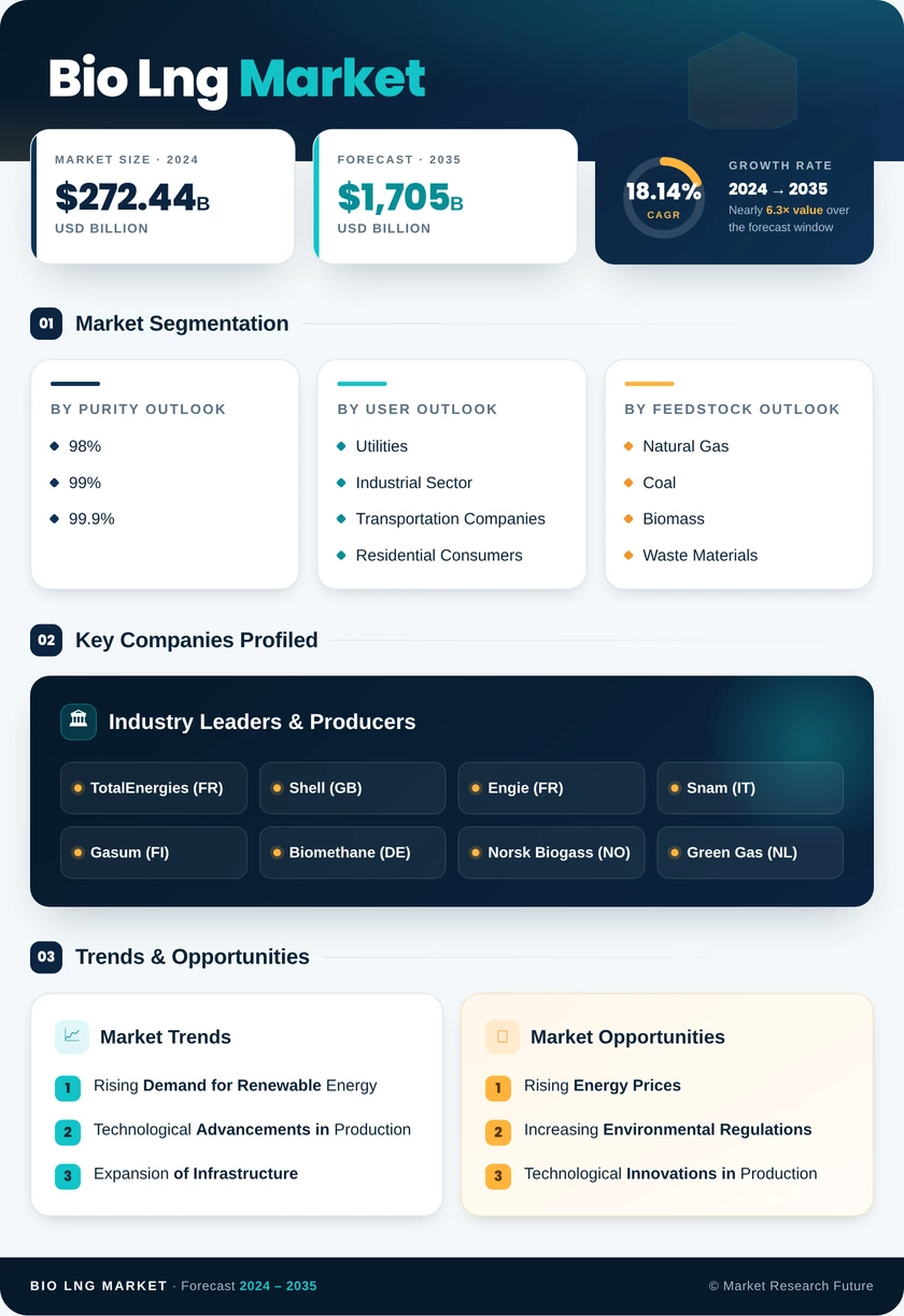 Bio LNG Market Research Report — Global Forecast till 2035 Infographic