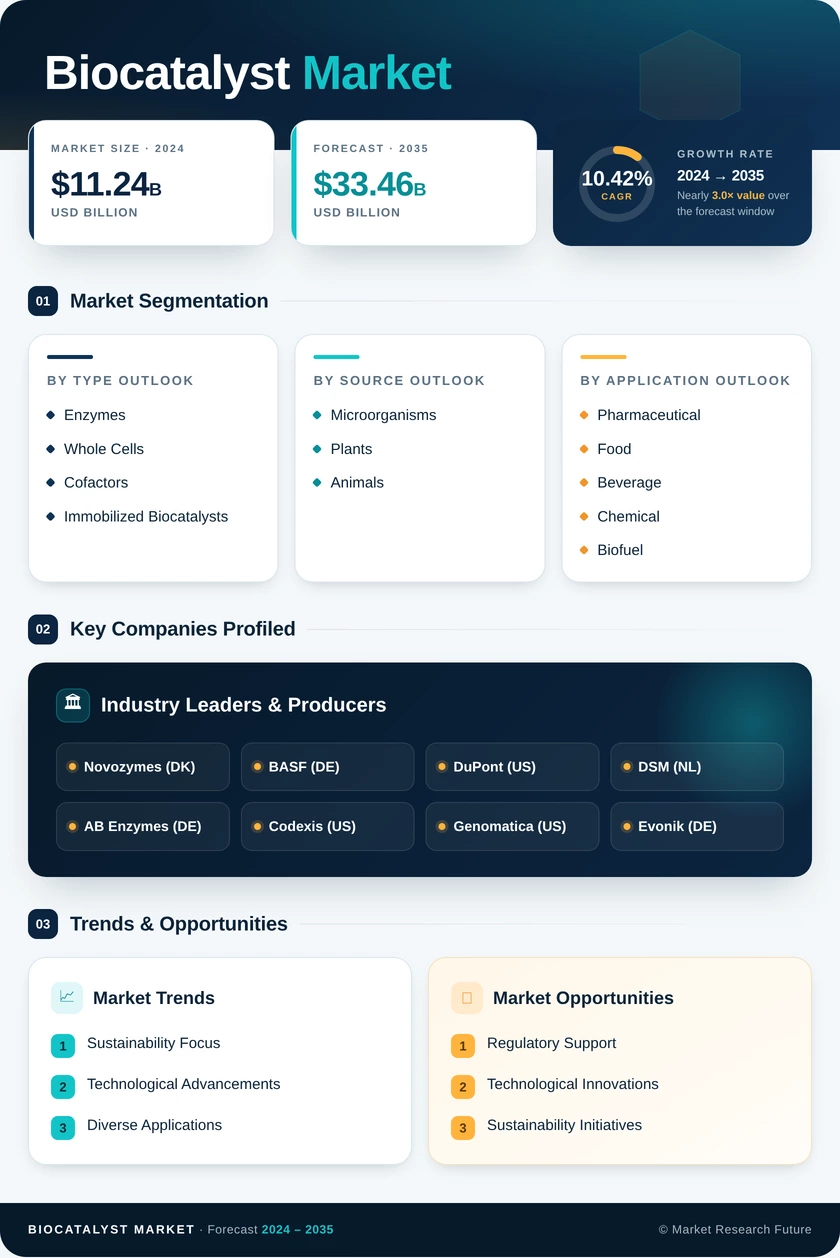 Biocatalyst Market Research Report — Global Forecast till 2035 Infographic