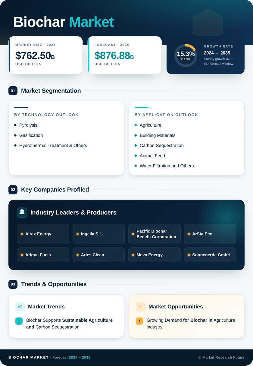 Biochar Market Research Report—Forecast till 2035 Infographic