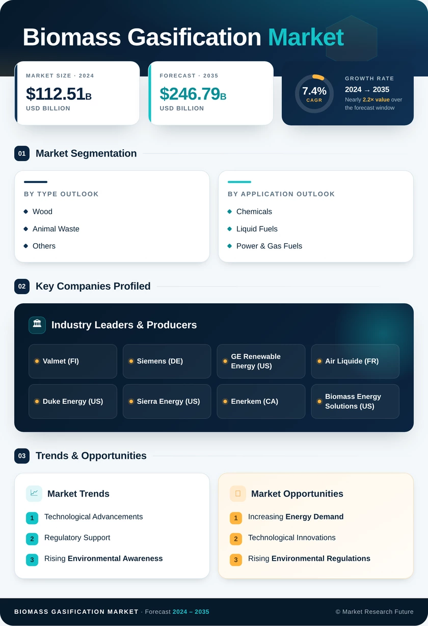 Biomass Gasification Market Research Report – Global Forecast till 2035 Infographic