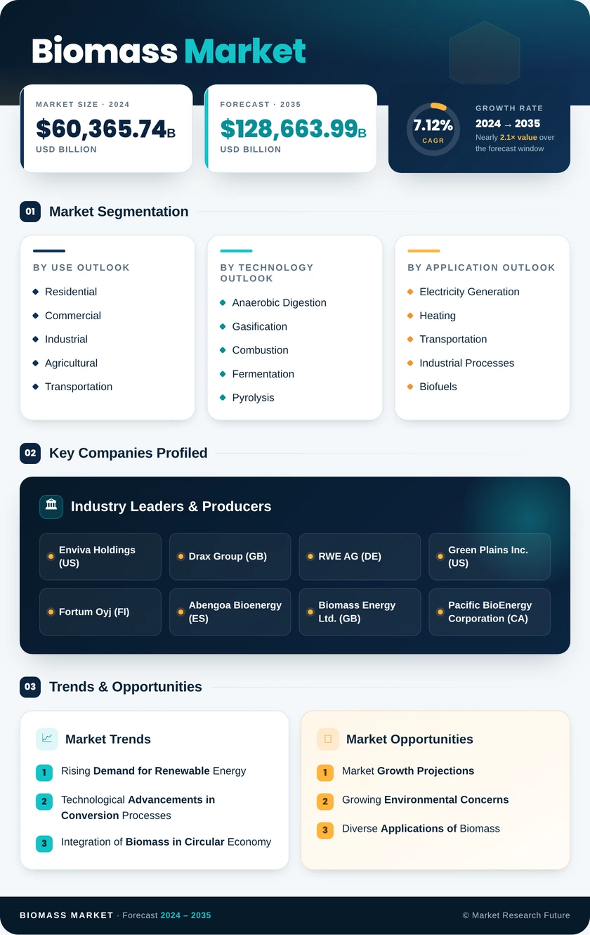 Biomass Market Research Report — Global Forecast till 2035 Infographic