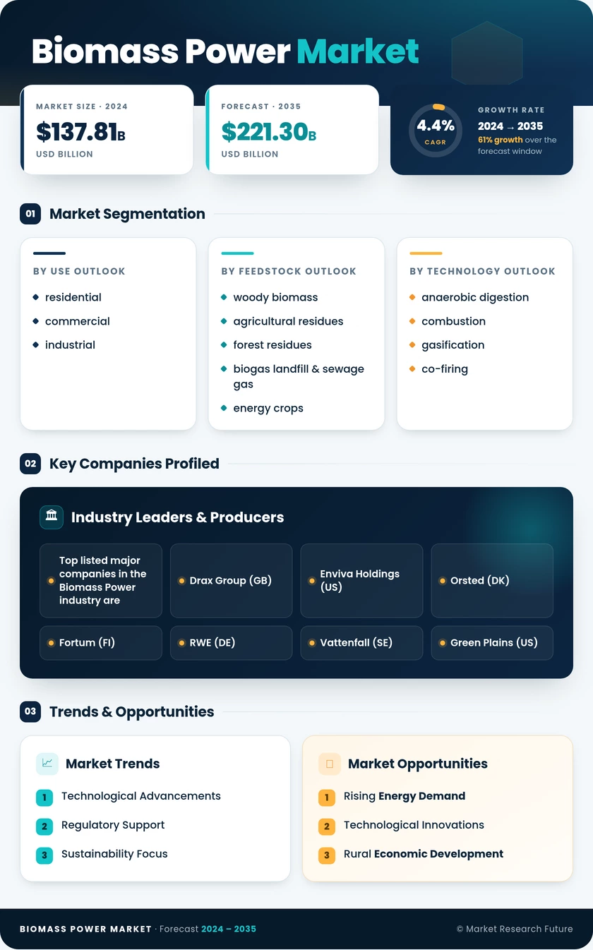 Biomass Power Market Research Report—Global Forecast till 2035 Infographic