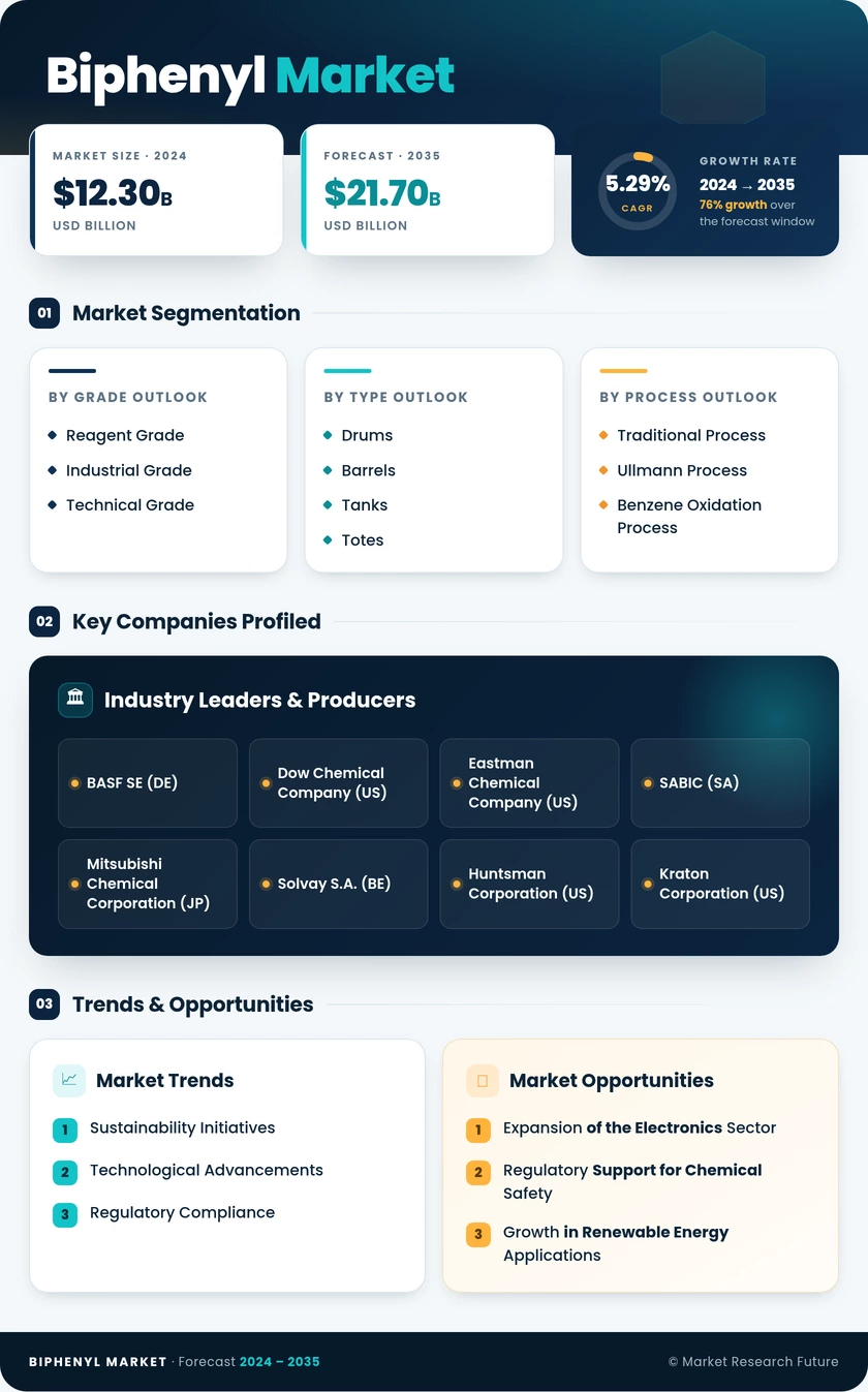 Biphenyl Market Research Report- Global Forecast till 2035 Infographic