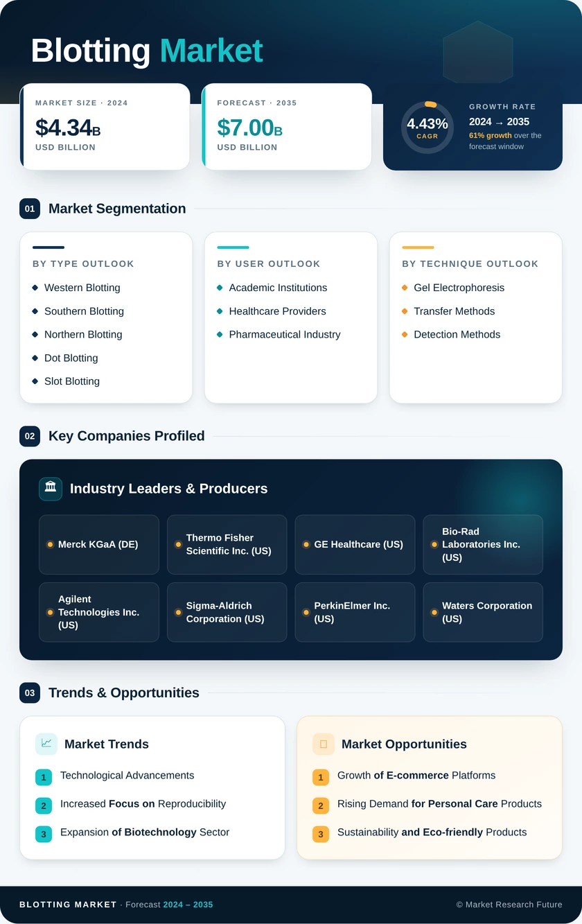Blotting Market Research Report — Global Forecast till 2035 Infographic