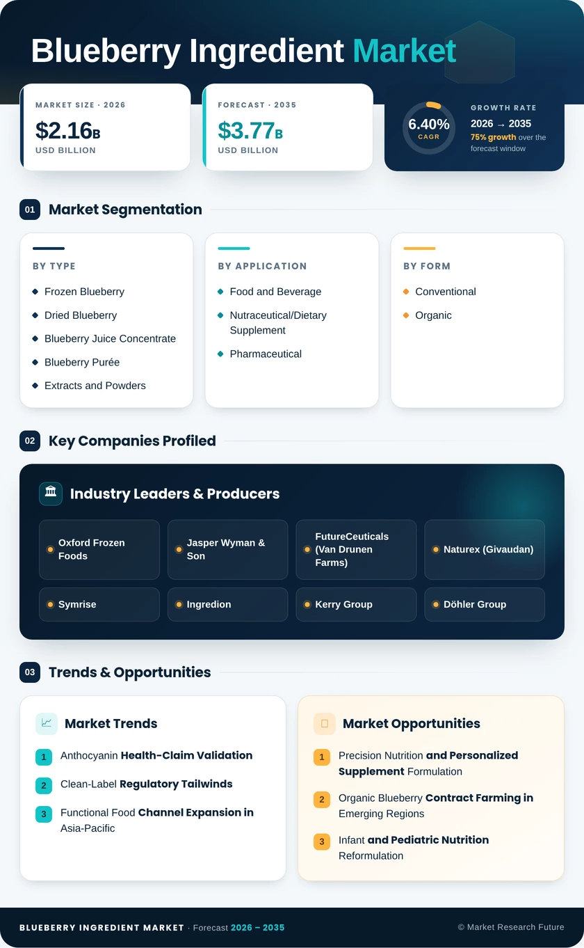 Blueberry Ingredient Market Research Report - Forecast Till 2035 Infographic