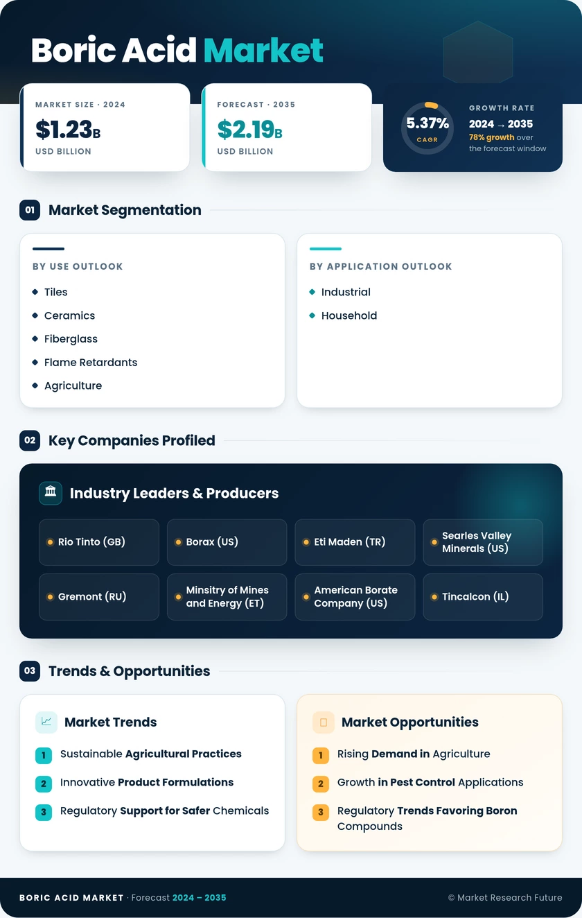 Boric Acid Market Research Report—Global Forecast till 2035 Infographic