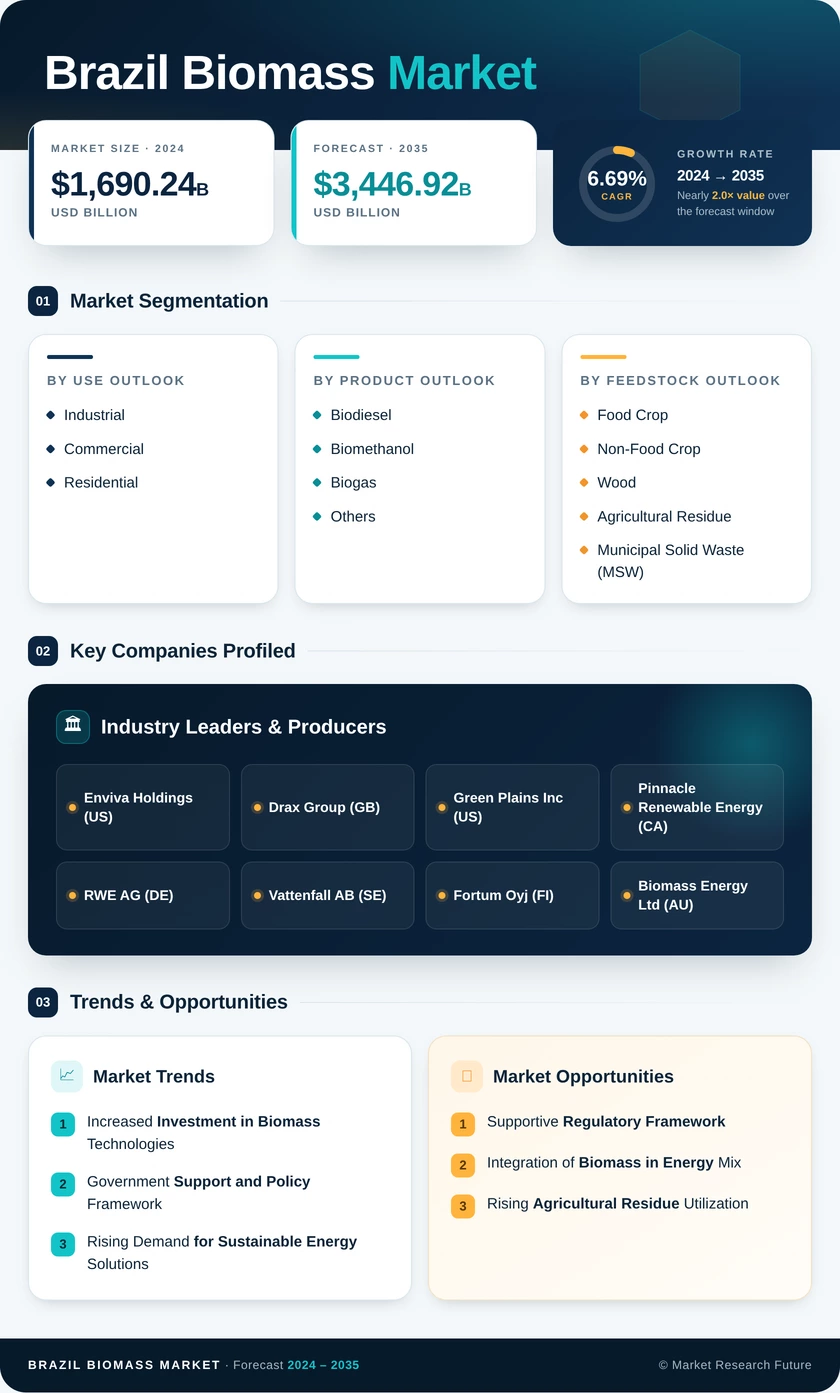 Brazil Biomass Market Research Report - Forecast 2035 Infographic