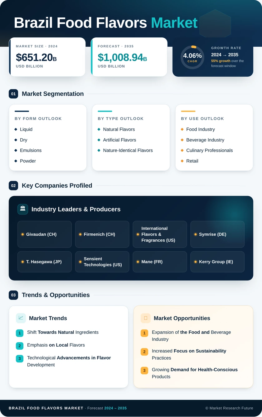 Brazil Food Flavors Market Research Report — Forecast till 2035 Infographic