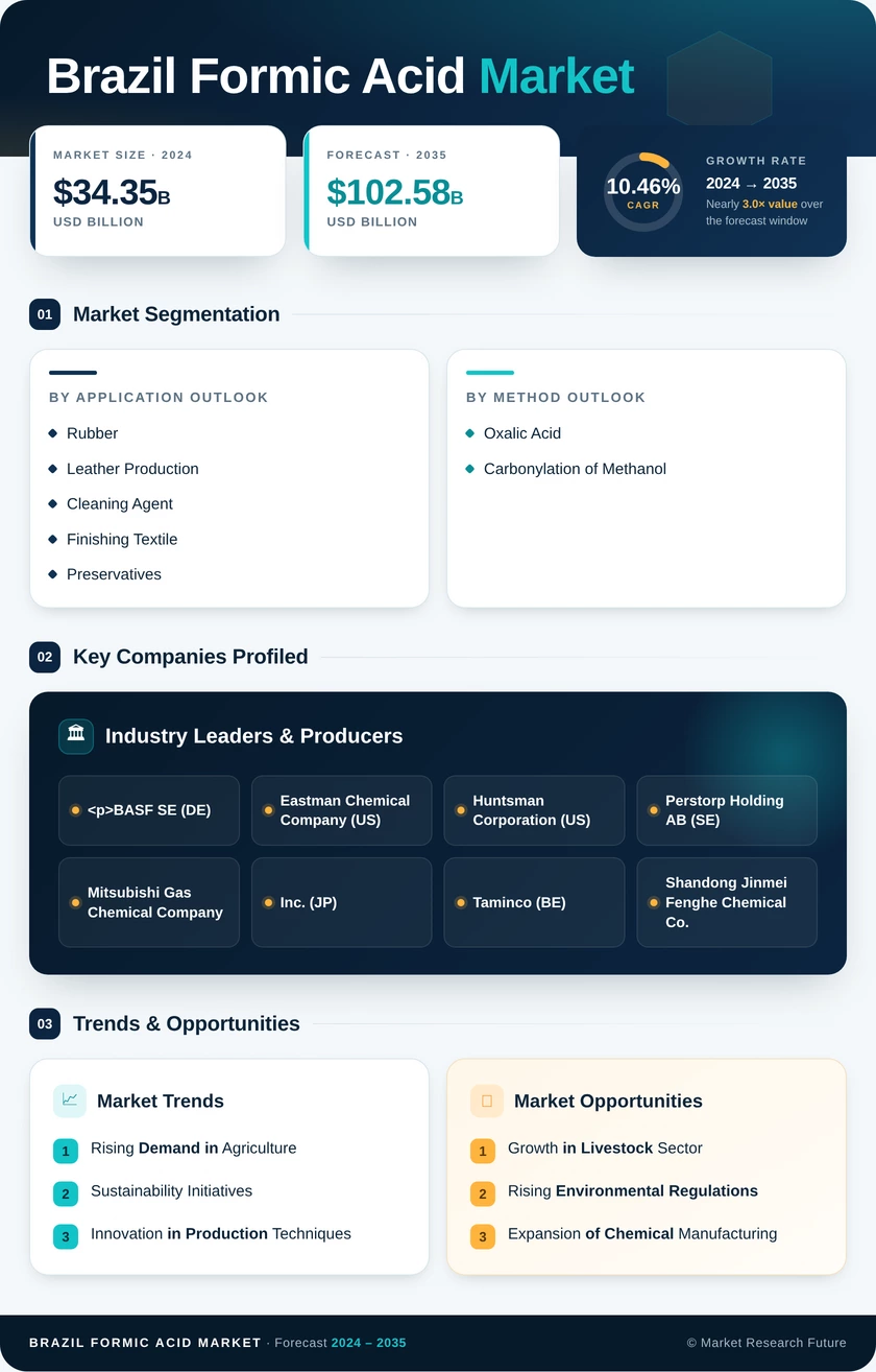 Brazil Formic Acid Market Research Report- Forecast to 2035 Infographic