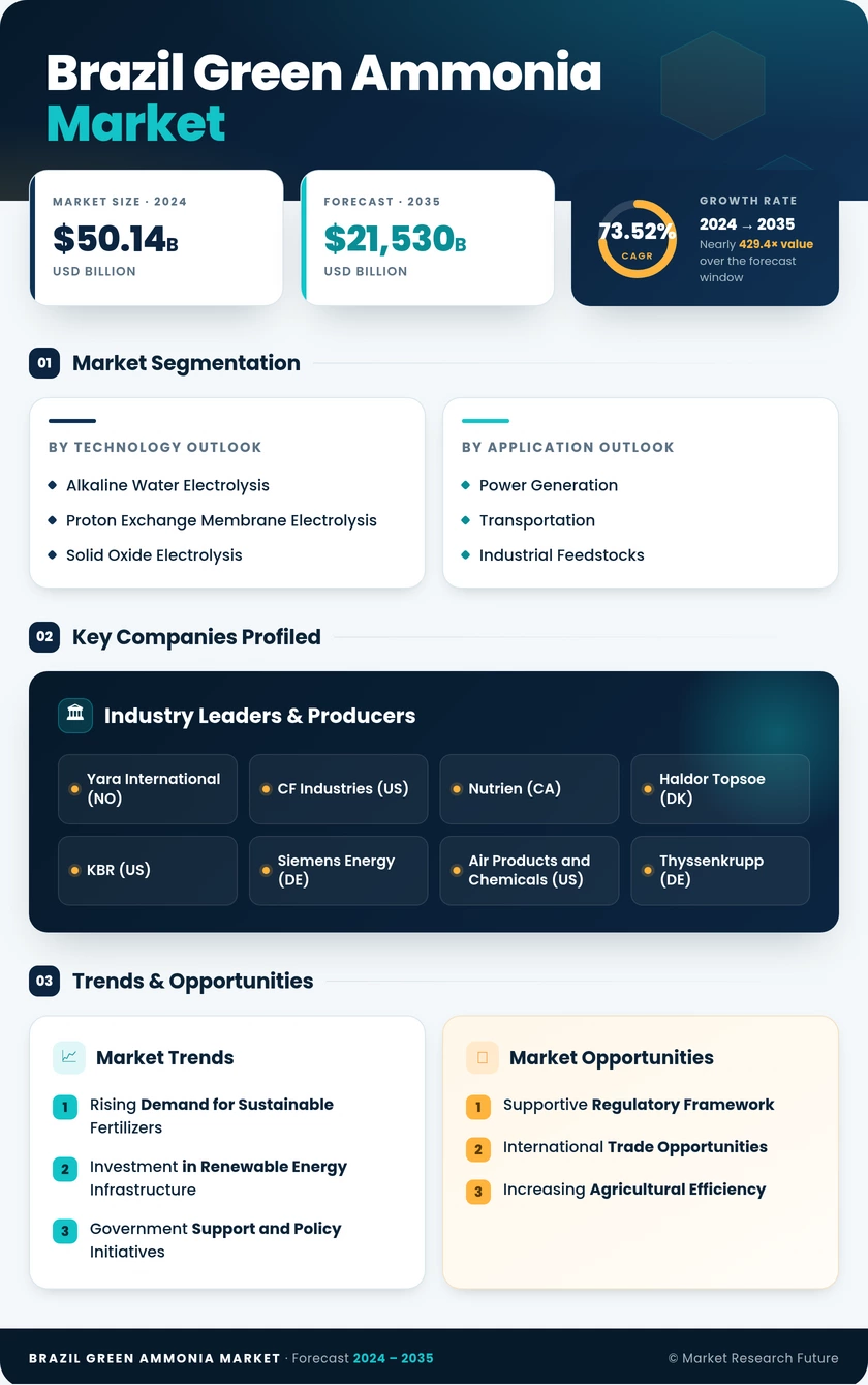 Brazil Green Ammonia Market Research Report- Forecast to 2035 Infographic