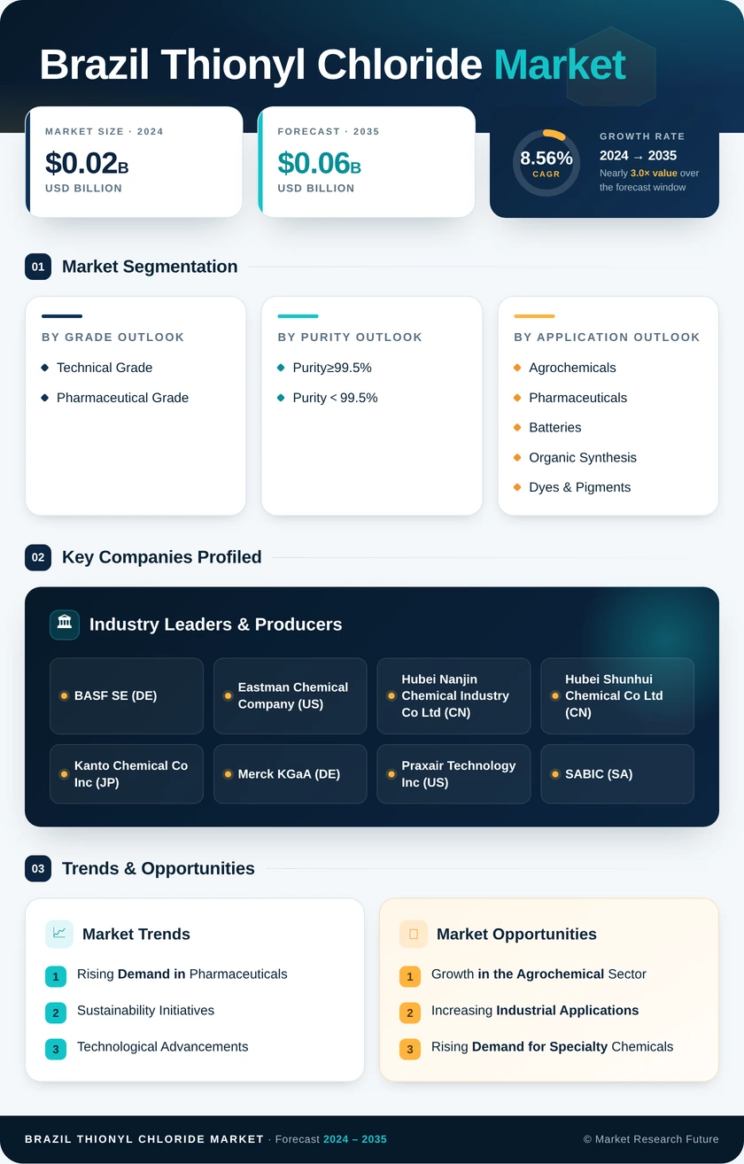 Brazil Thionyl Chloride Market Research Report - Forecast by 2035 Infographic