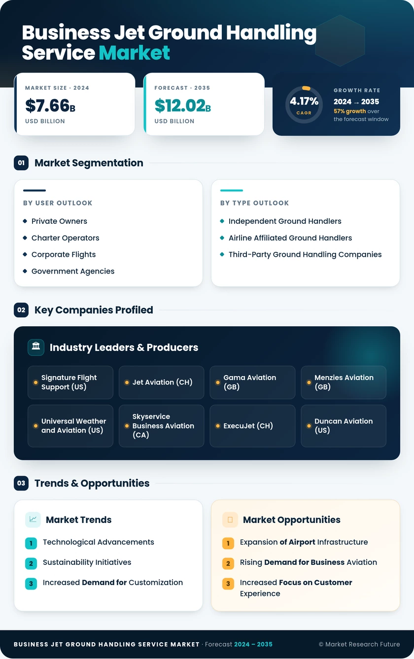 Business Jet Ground Handling Service Market Infographic