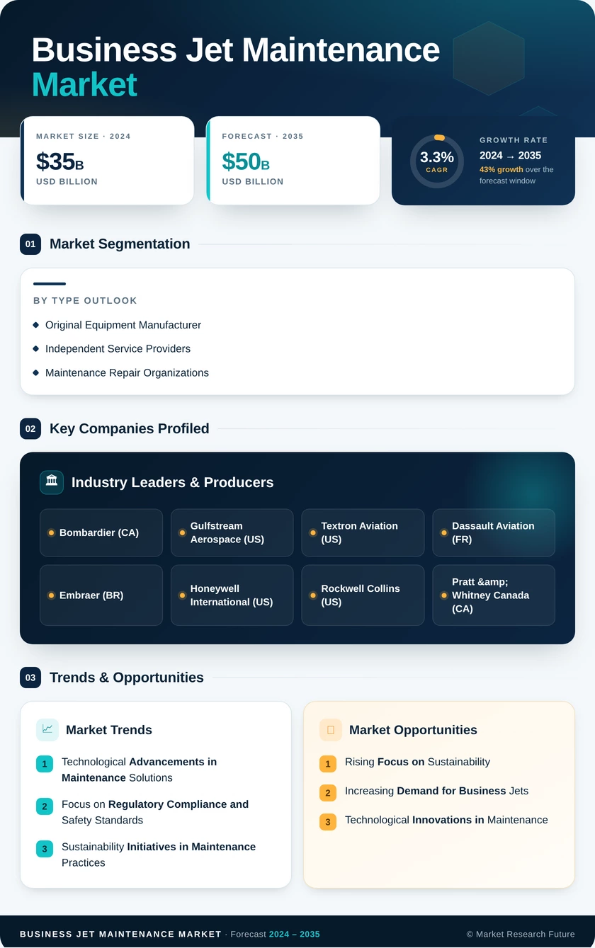 Business Jet Maintenance Market Infographic