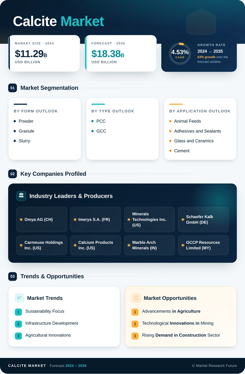 Calcite Market Research Report – Global Forecast till 2035 Infographic