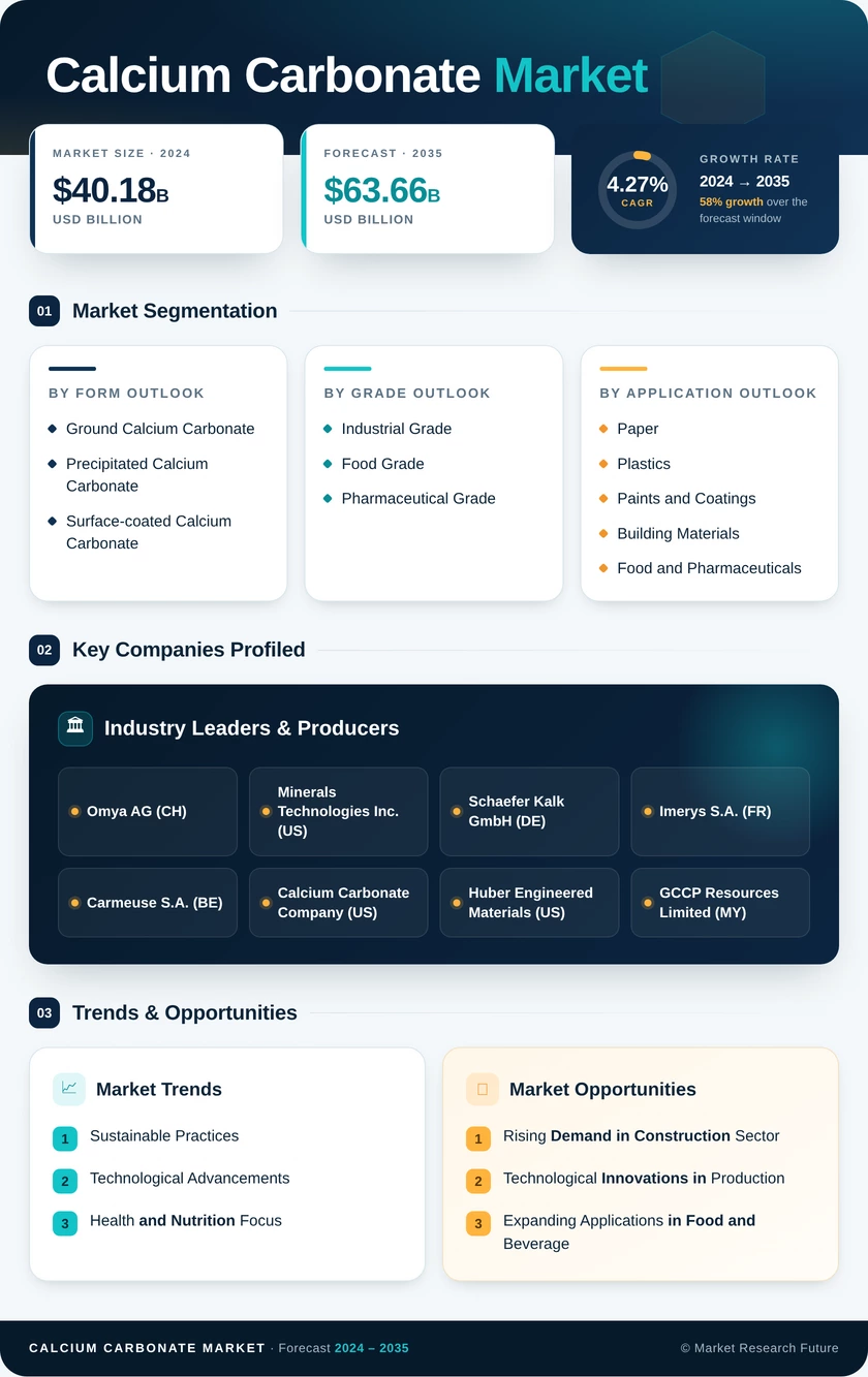 Calcium Carbonate Market Research Report - Global Forecast till 2035 Infographic
