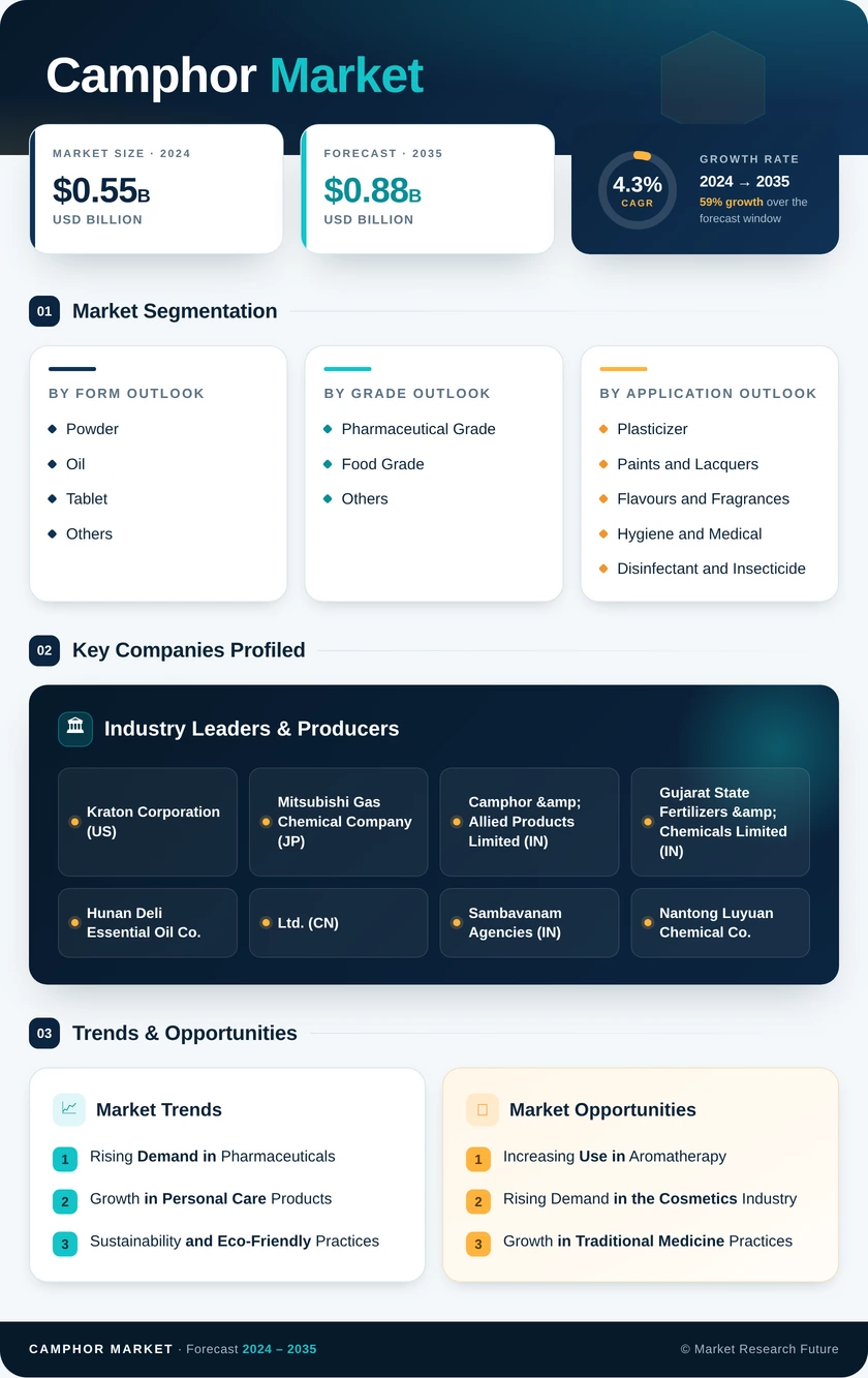 Camphor Market Research Report - Global Forecast y 2035 Infographic
