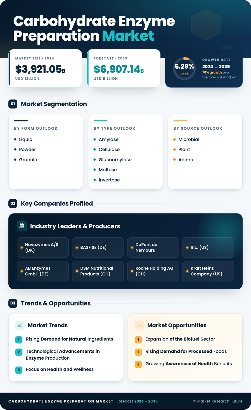 Carbohydrate Enzyme Preparation Market Research Report - Global Forecast by 2035 Infographic