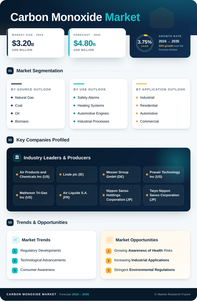 Carbon Monoxide Market Research Report  – Forecast to 2035 Infographic