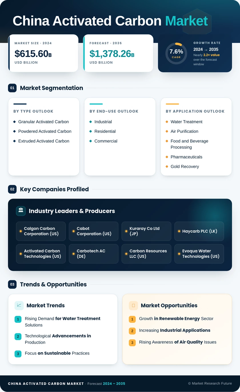China Activated Carbon Market Research Report - Forecast by 2035 Infographic