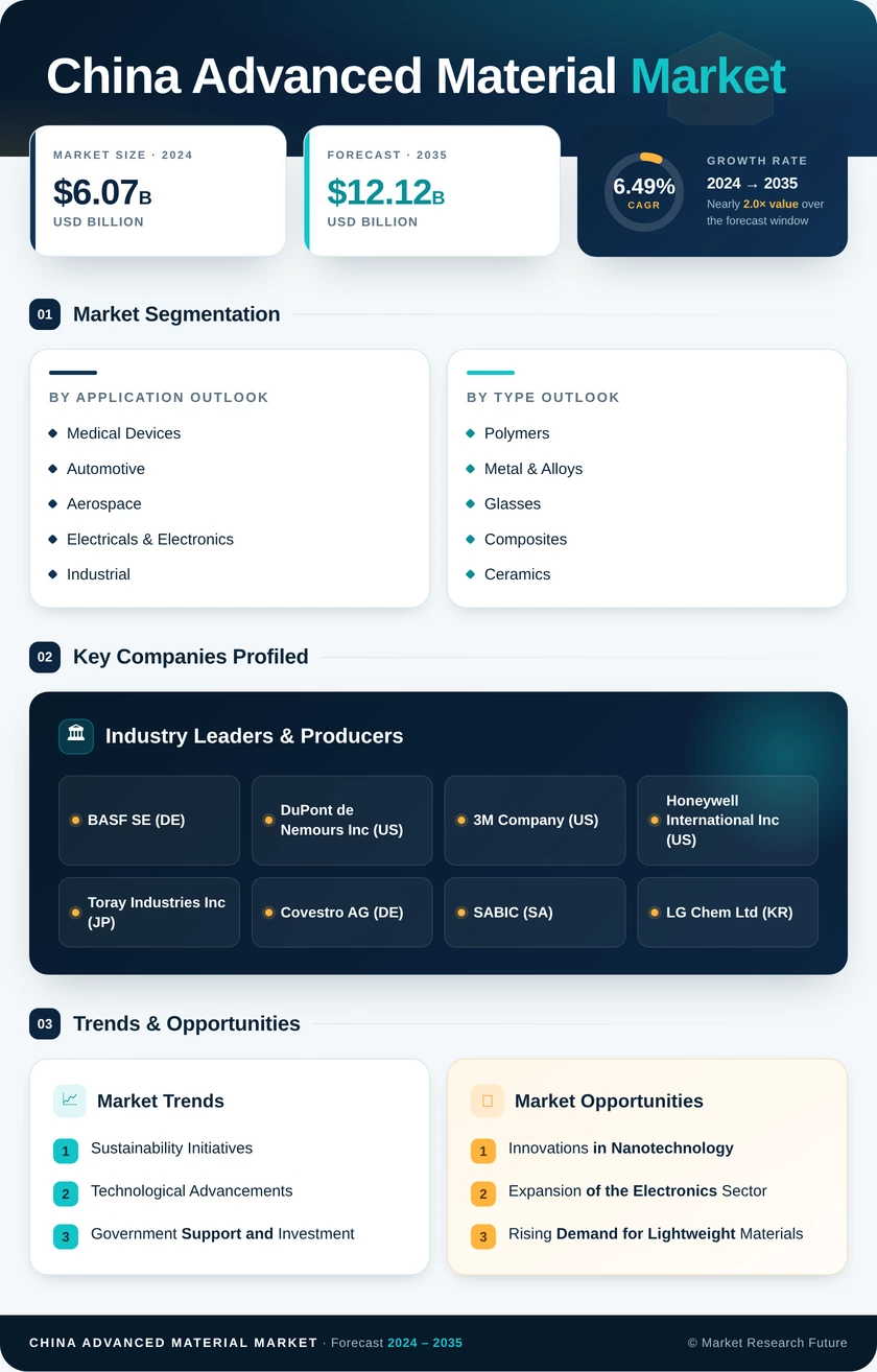 China Advanced Material Market Research Report - Forecast by 2035 Infographic