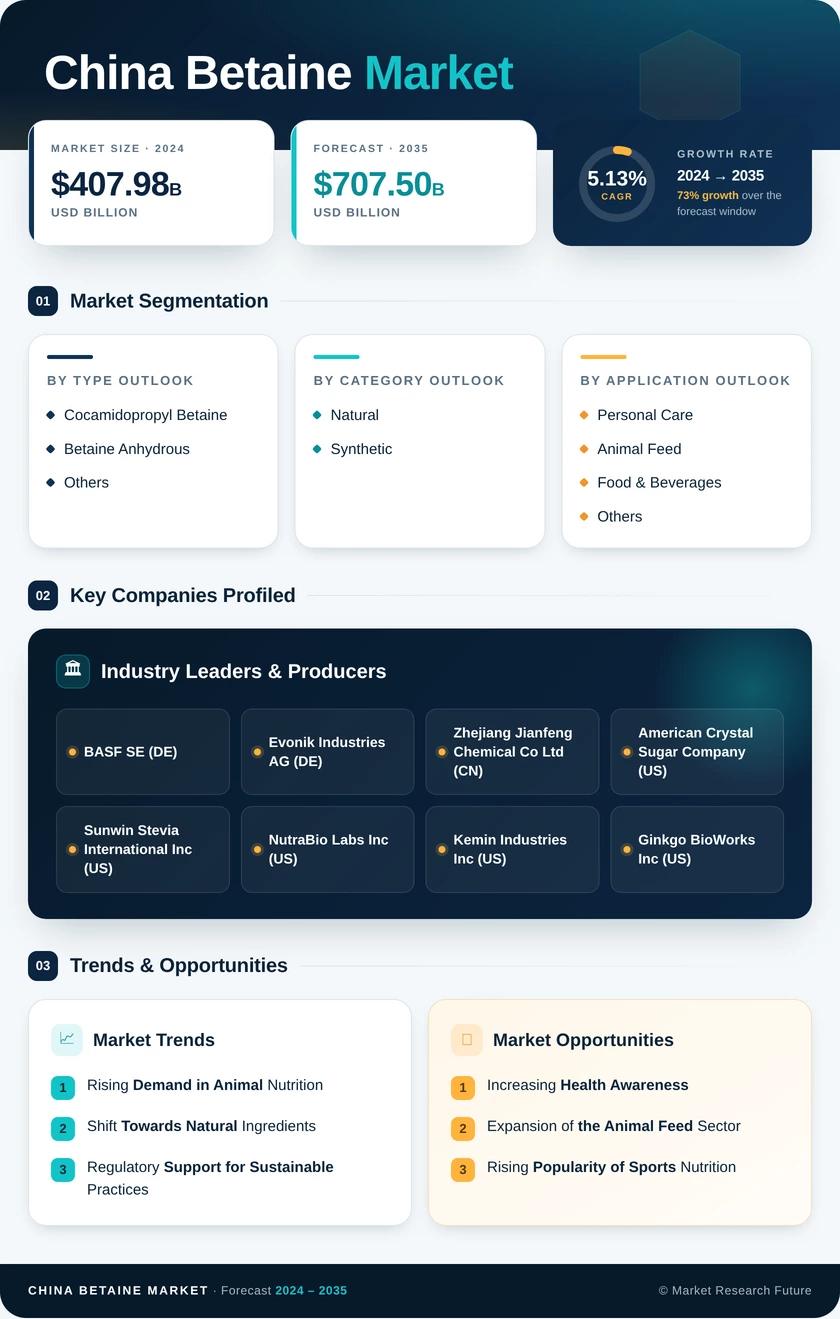 China Betaine Market Research Report - Forecast Till 2035 Infographic