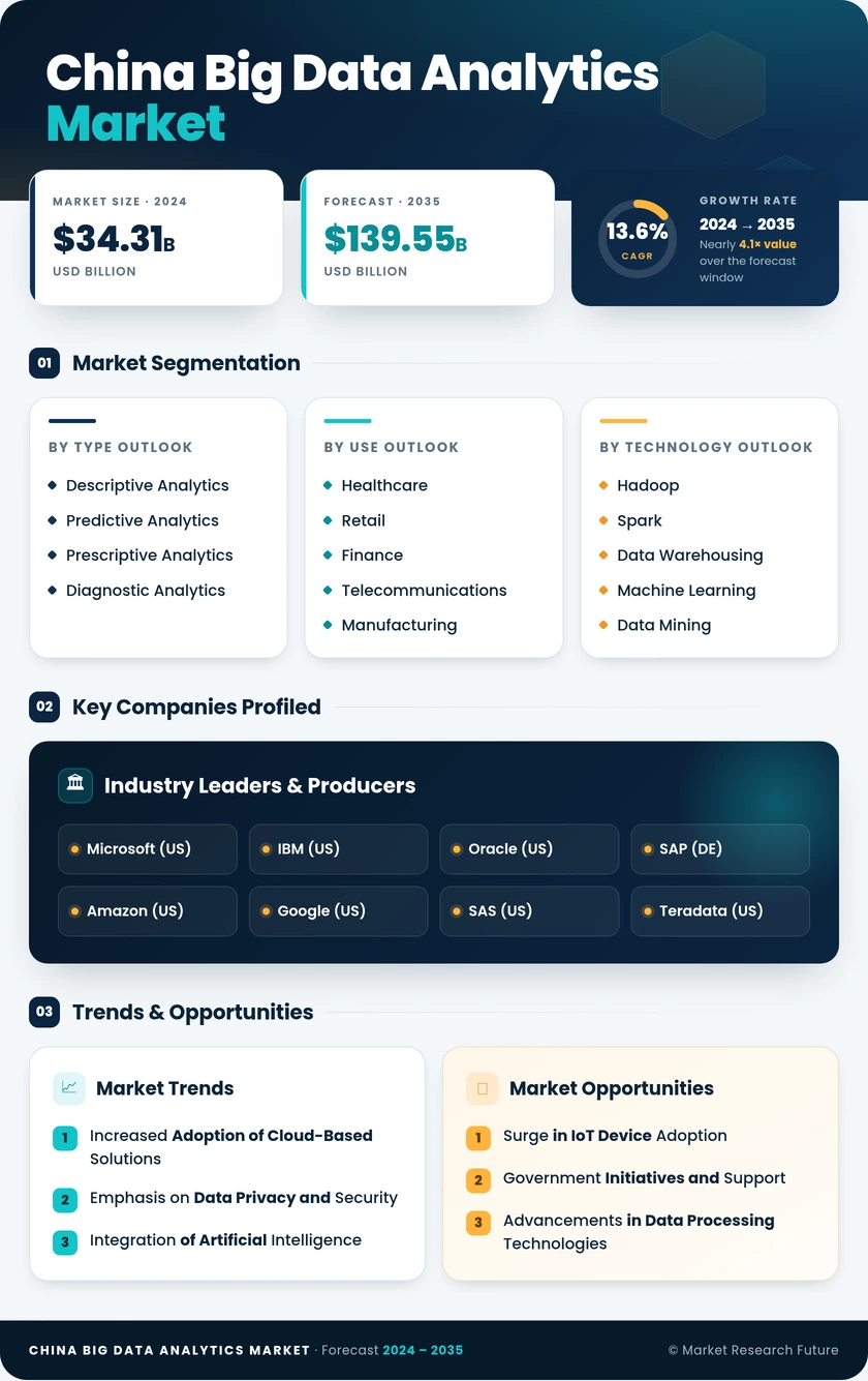 China Big Data Analytics Market Research Report- Forecast to 2035 Infographic