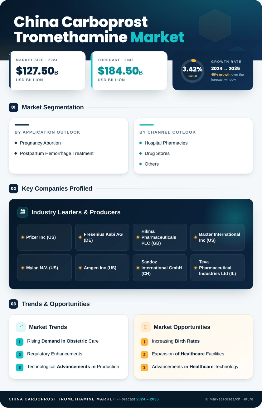 China Carboprost Tromethamine Market Research Report- Forecast To 2035 Infographic