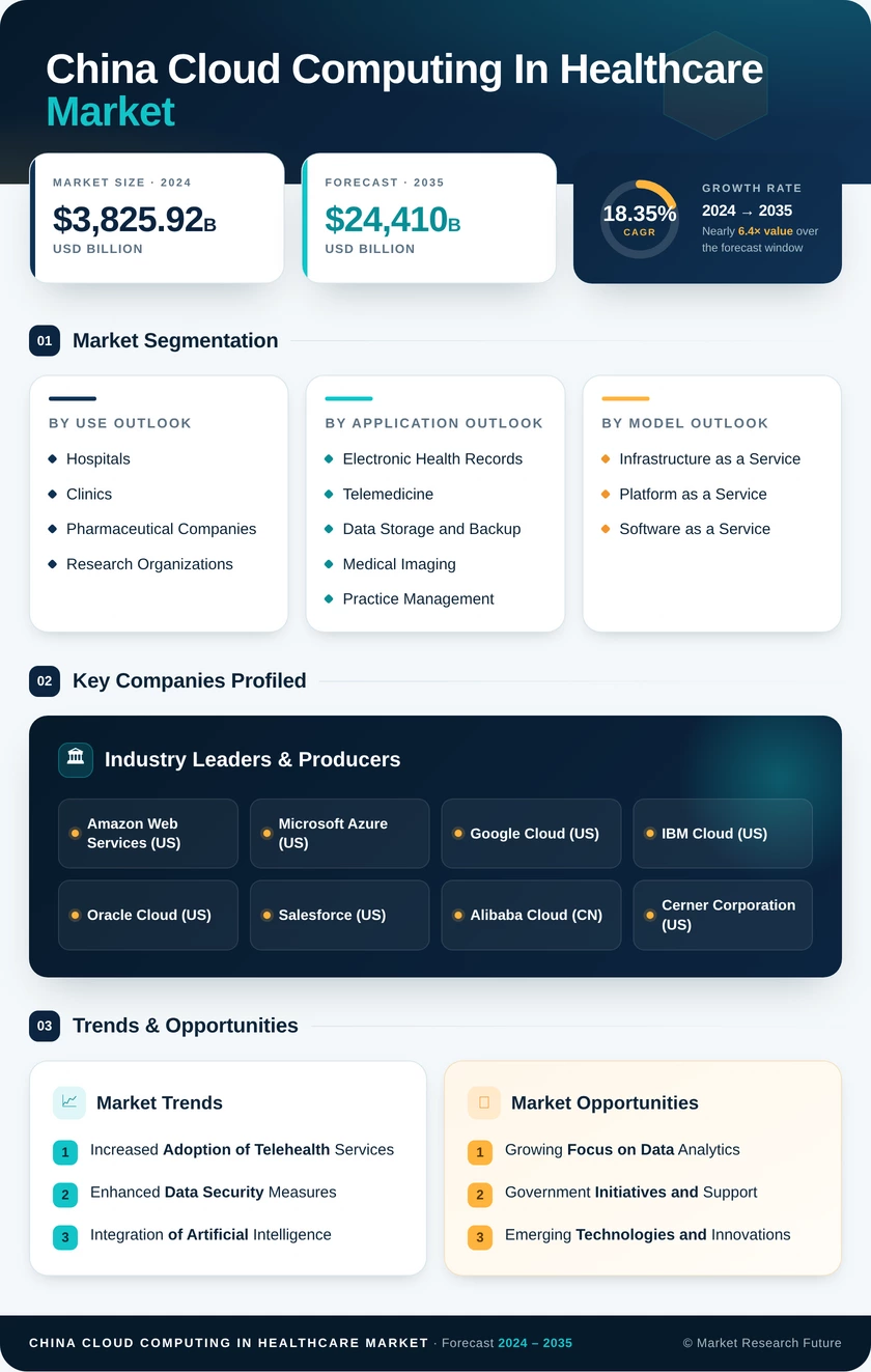 China Cloud Computing in Healthcare Market Infographic