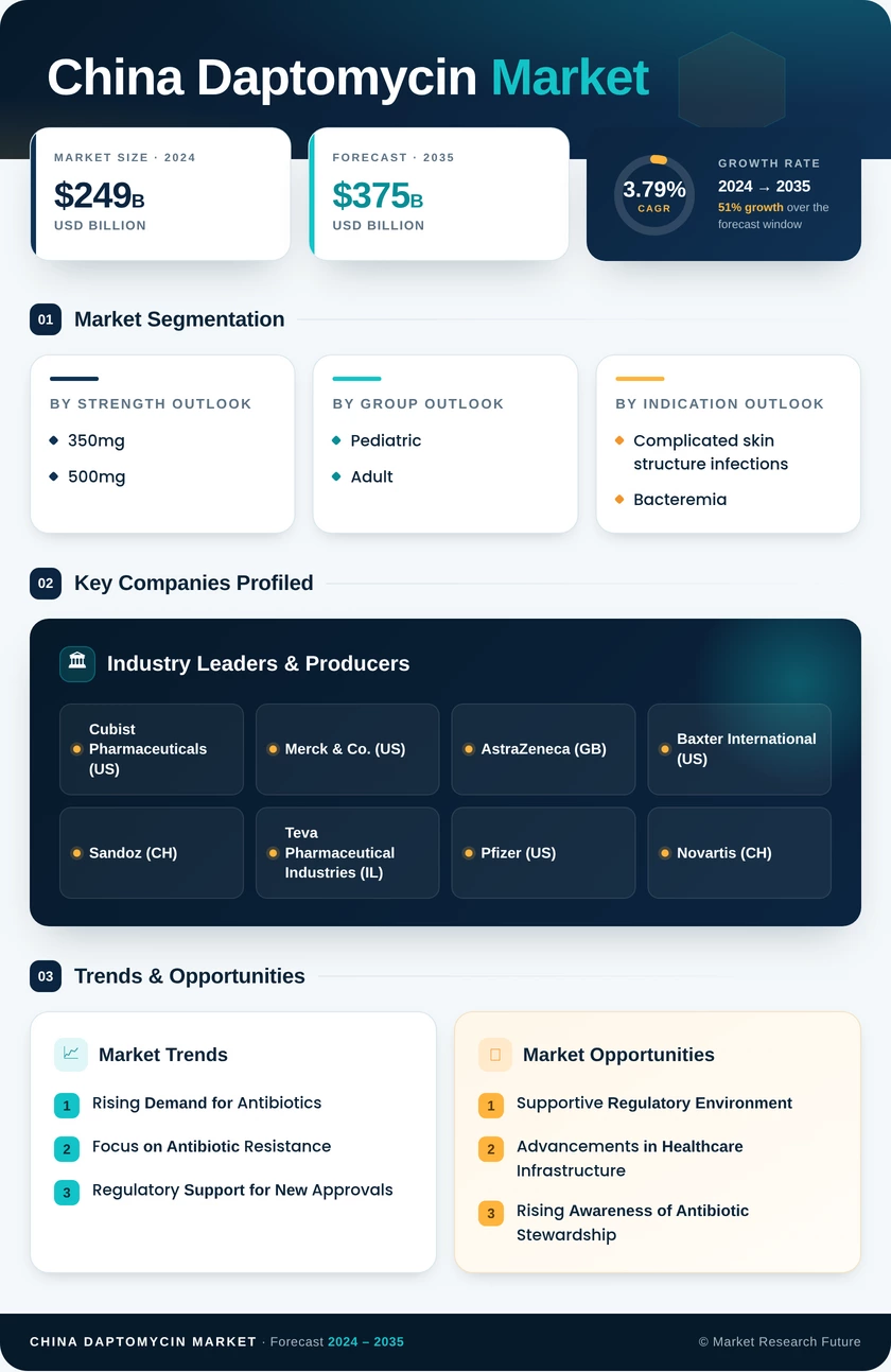 China Daptomycin Market Research Report - Forecast to 2035 Infographic