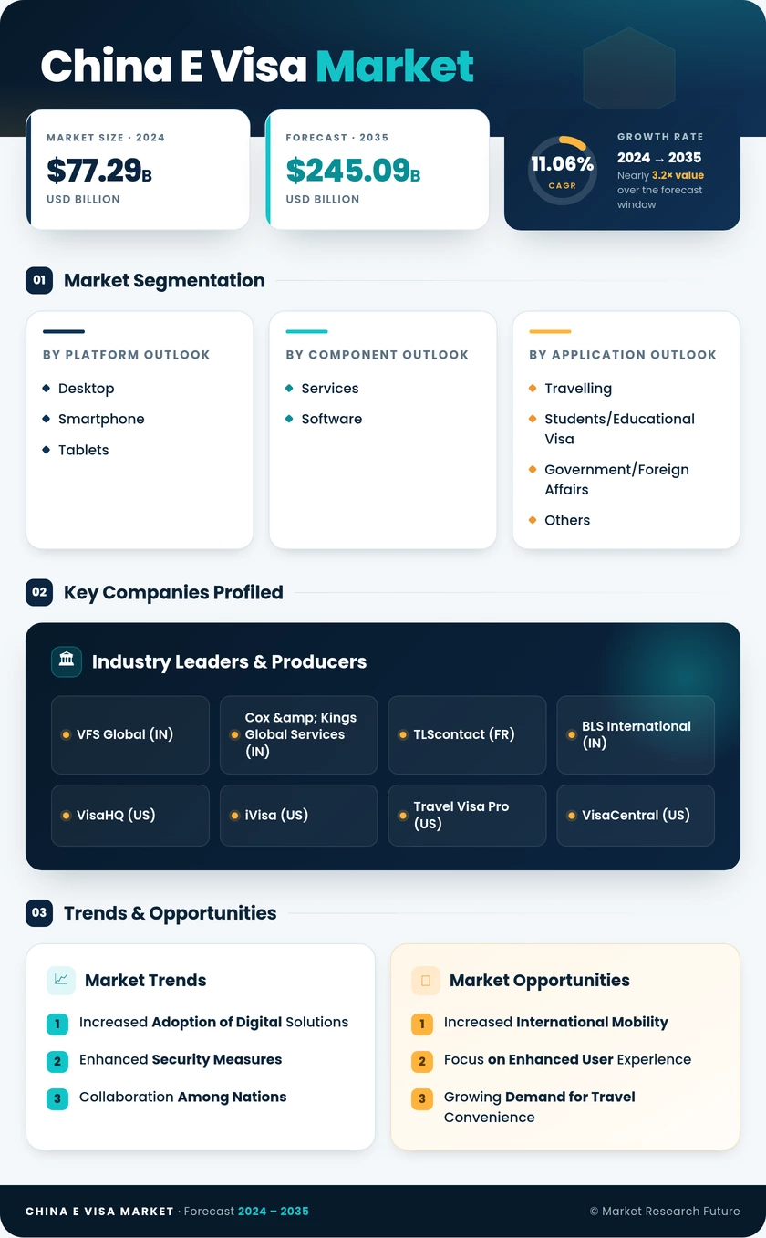 China E-Visa Market Research Report - Forecast to 2035 Infographic