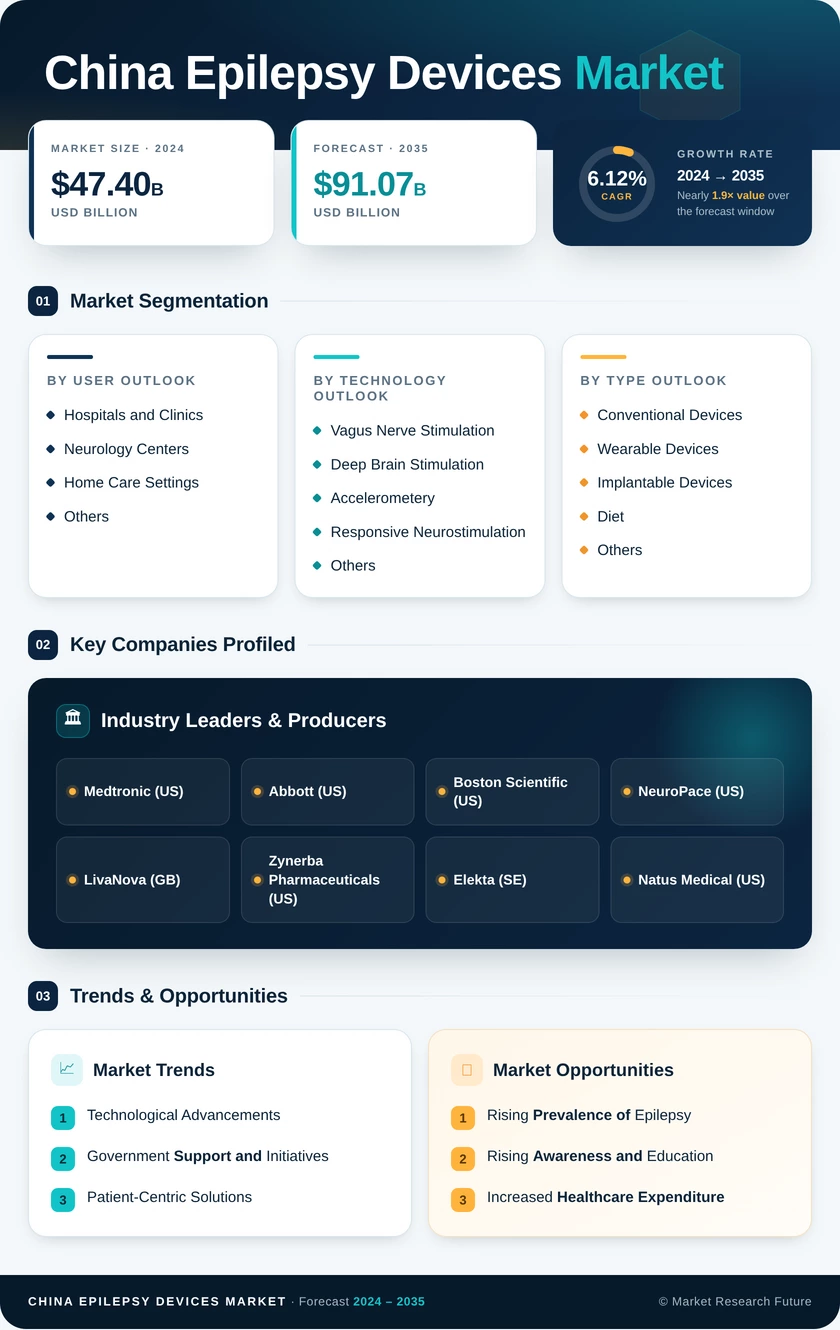 China Epilepsy Devices Market Research Report-Forecast to 2035 Infographic