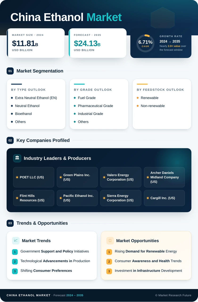 China Ethanol Market Research Report — Forecast till 2035 Infographic