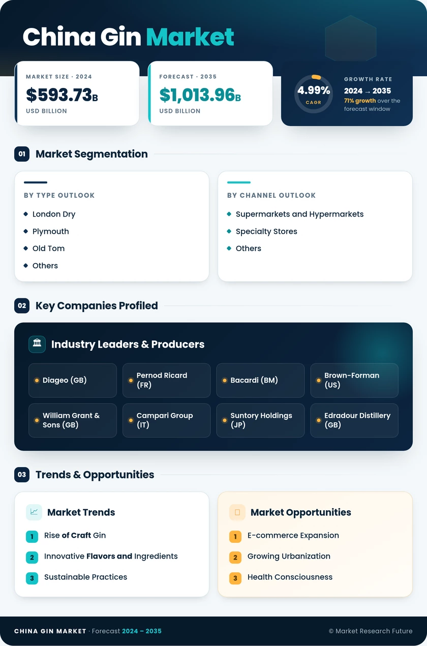China Gin Market Research Report — Forecast till 2035 Infographic