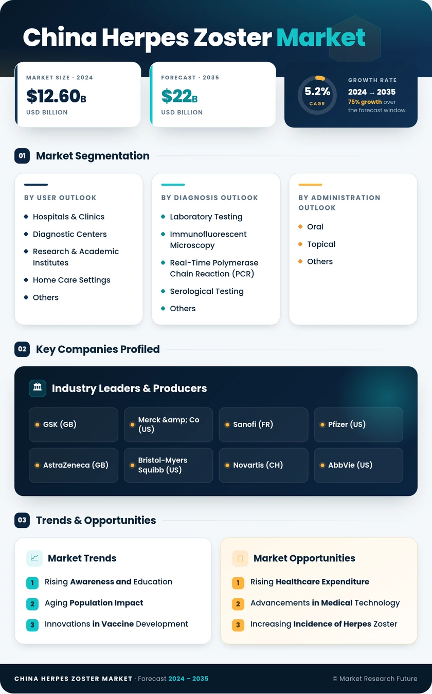 China Herpes Zoster Market Research Report-Forecast to 2035 Infographic
