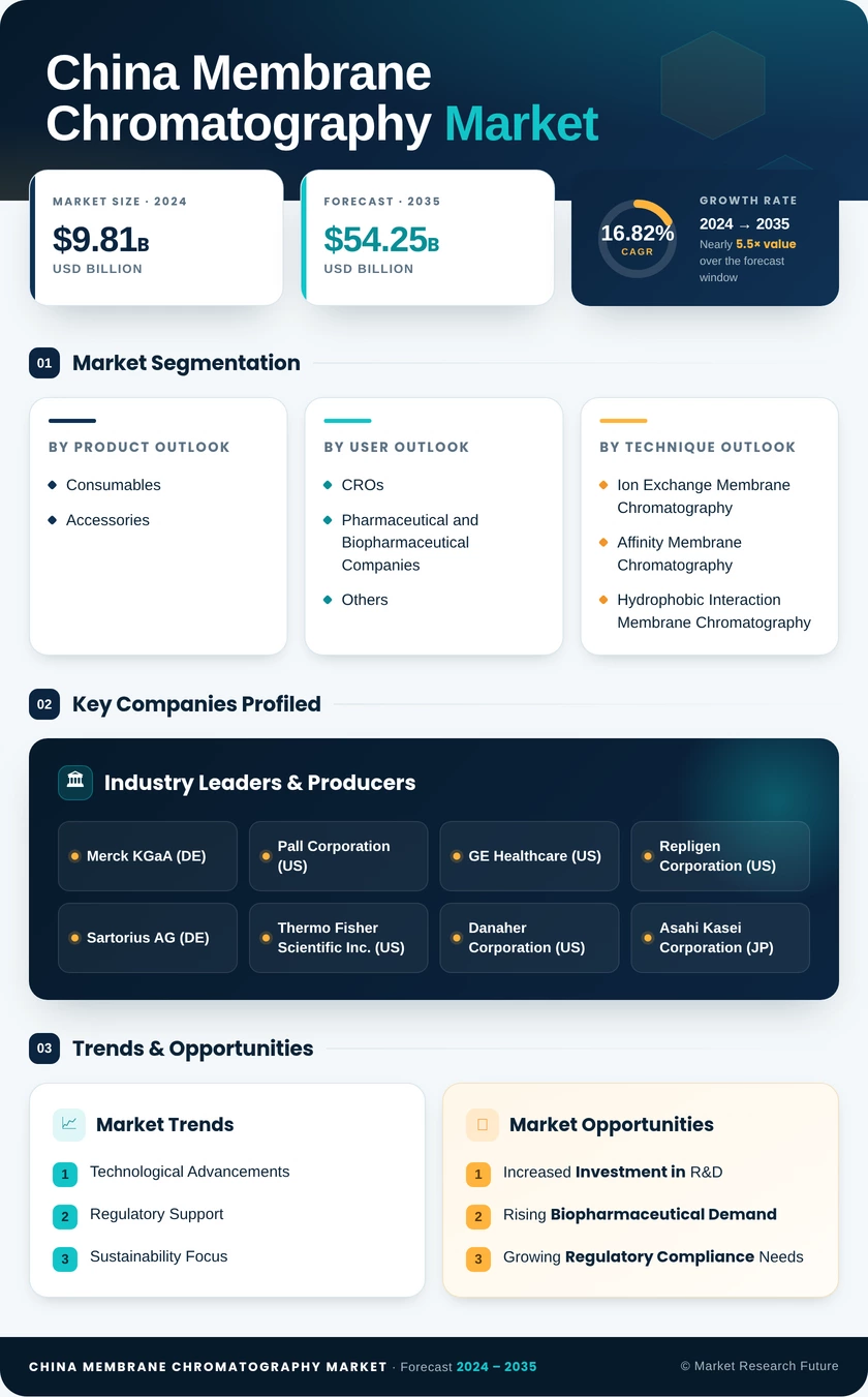China Membrane Chromatography Market Research Report — Global Forecast till 2035 Infographic