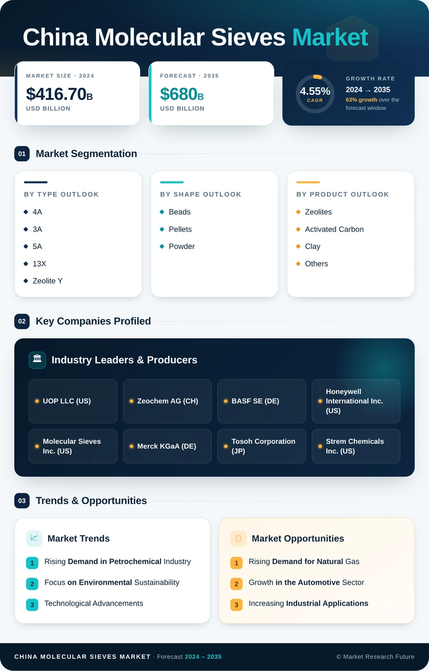 China Molecular Sieves Market Research Report - Forecast till 2035 Infographic