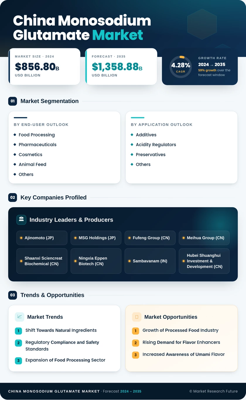 China Monosodium Glutamate Market Research Report - Forecast Report 2035 Infographic
