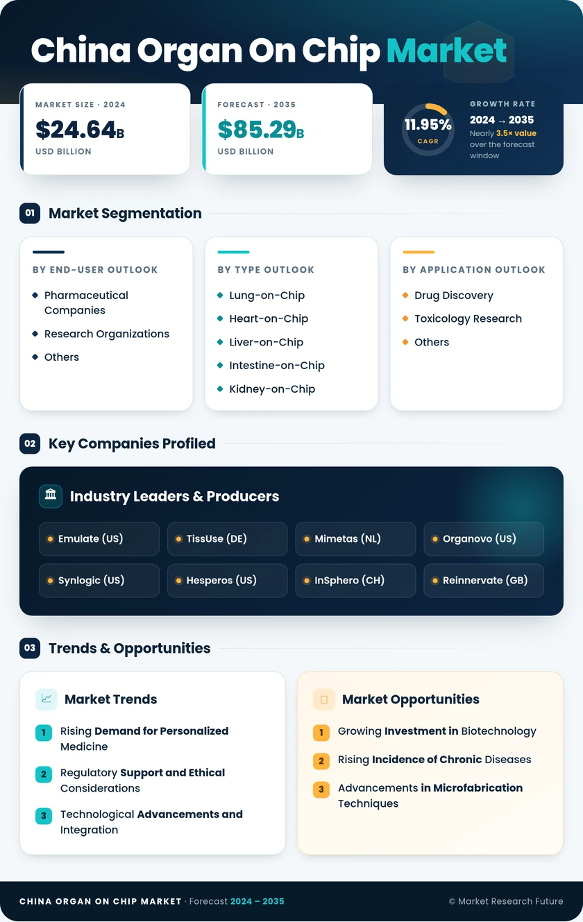 China Organ On Chip Market Infographic