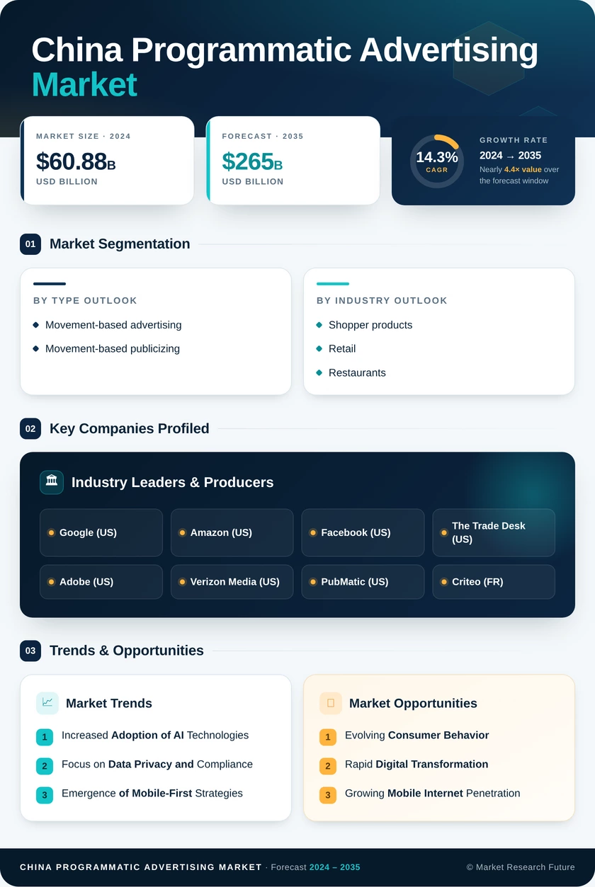 China Programmatic Advertising Market Research Report- Forecast to 2035 Infographic