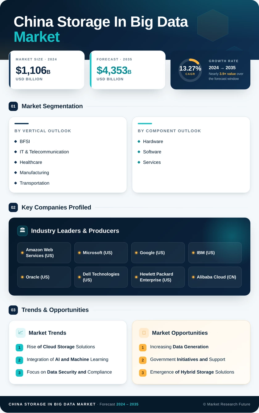 China Storage In Big Data Market Research Report-Forecast to 2035 Infographic