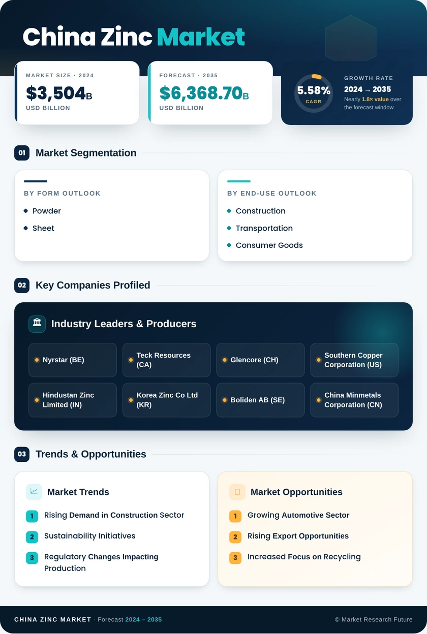 China Zinc Market Research Report - Forecast by 2035 Infographic